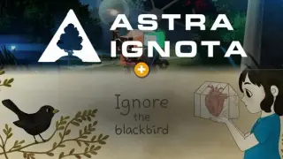 Ignore x Ignota: A Narrative Puzzle Bundle