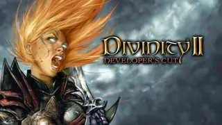 Divinity II Developer's Cut