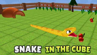 Snake In The Cube