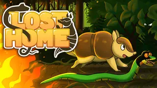 Lost Home