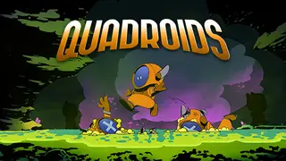 Quadroids
