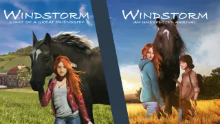 Windstorm Double Pack - Switch