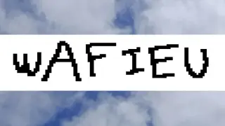 WAFIEU