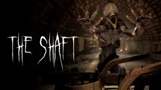 The Shaft