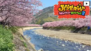 [Moving] The Four Seasons of Japan - Switch