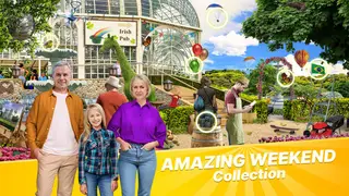 Amazing Weekend Collection