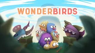 Wonderbirds