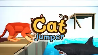 Cat Jumper