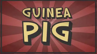 Guinea Pig