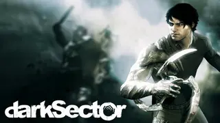Dark Sector