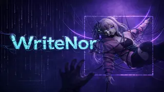 WriteNor