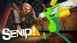 Senip