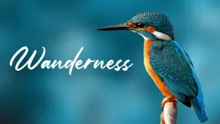 Wanderness