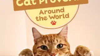 QUIZ! Cat Proverbs Around the World - Switch