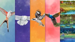 Wingspan + European + Oceania + Asia + Decorative Packs (PS4 & PS5)