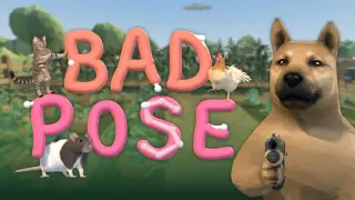 BAD POSE