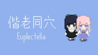 偕老同穴 Euplectella