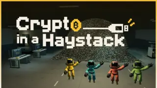 Crypto in a Haystack