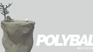 Polyball