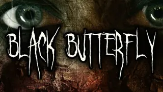 Black Butterfly