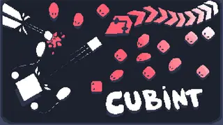 Cubint