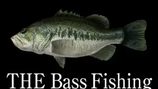 THE Bass Fishing - Switch