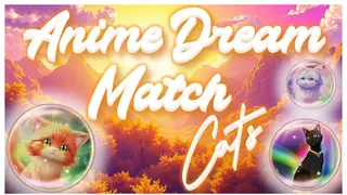 Anime Dream Match: Cats