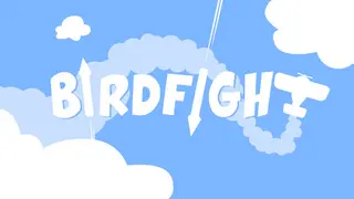birdfight