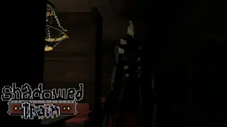 Shadowed Train