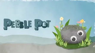 Pebble Pet