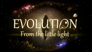 Evolution From the little light