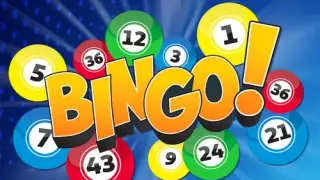 BINGO - Switch