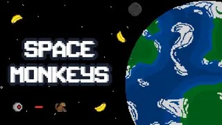 Space Monkeys