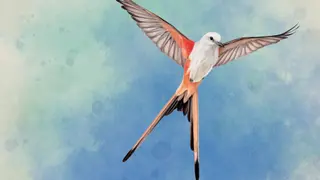 Wingspan (PS4 & PS5)