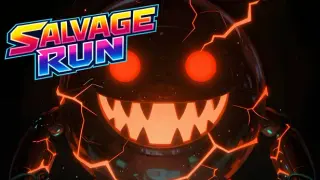Salvage Run