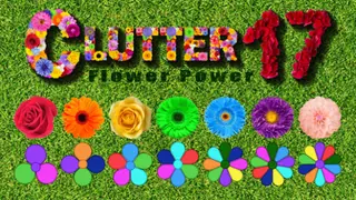 Clutter 17: Flower Power Collector's Edition