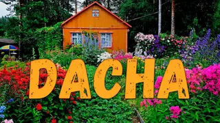 DACHA
