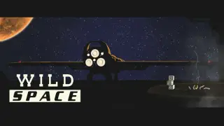 Wild Space