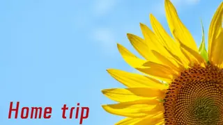 Home trip