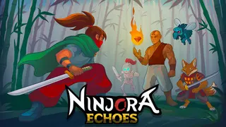 Ninjora Echoes