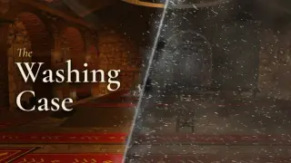 The Washing Case