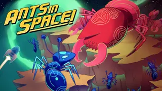 Ants in Space!