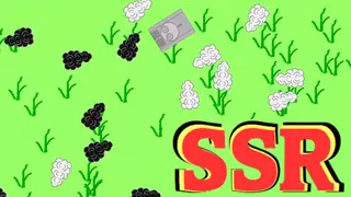 SSR