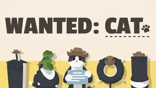 Wanted: Cat
