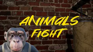 Animals Fight