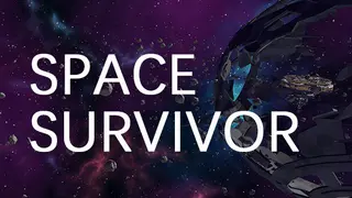 Space Survivor