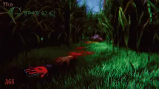 The Grass
