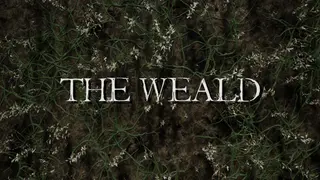 The Weald