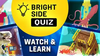 Bright SIDE: Quiz - WATCH▷ & Learn DLC Complete