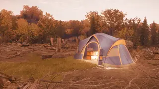theHunter: Call of the Wild - Hunting Starter Pack - PS4